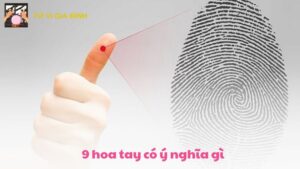 9 hoa tay có ý nghĩa gì? Sướng Hay Khổ