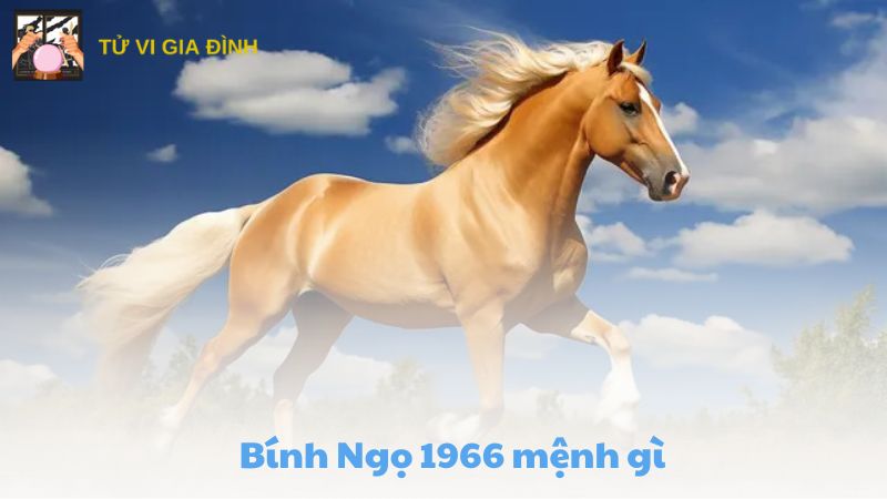 Bính Ngọ 1966 mệnh gì