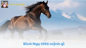 Bính Ngọ 1966 mệnh gì? Hợp kỵ màu gì