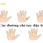 Các Đường Chỉ Tay Đặc Biệt