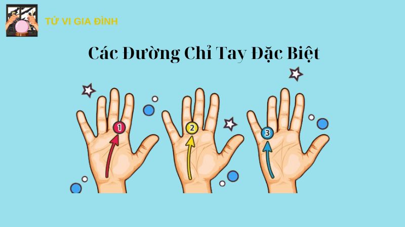 Các Đường Chỉ Tay Đặc Biệt