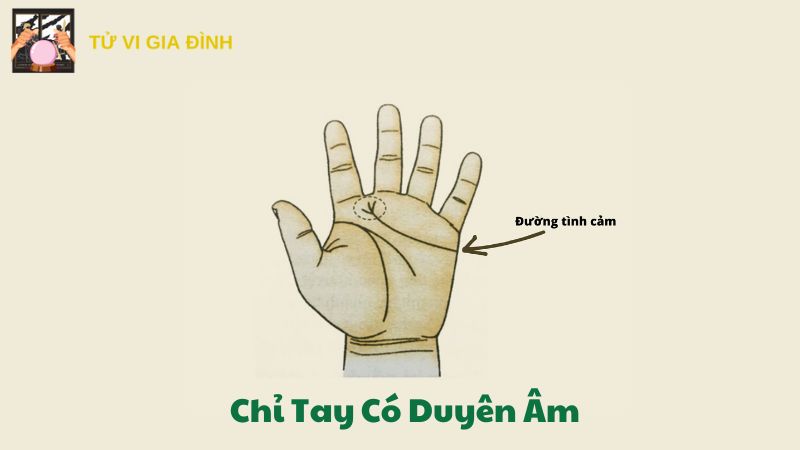 Chỉ Tay Có Duyên Âm