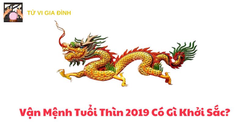 Vận Mệnh Tuổi Thìn 2019 Có Gì Khởi Sắc?