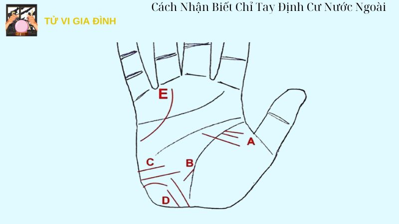 Cách Nhận Biết Chỉ Tay Định Cư Nước Ngoài