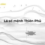 Lá số mệnh Thiên Phủ